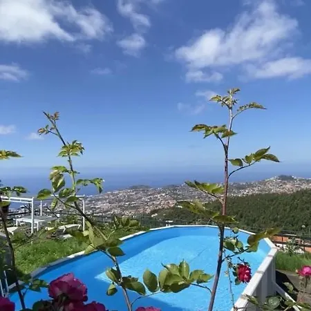 Studio Geek Villa - Open Space - 5M From 5 Top Attractions - Pool All Year Round, Dining Pergola, Barbecue - Funchal Matrix Holiday Home Buitenkant foto